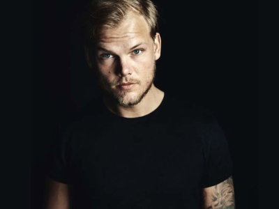 avicii invector