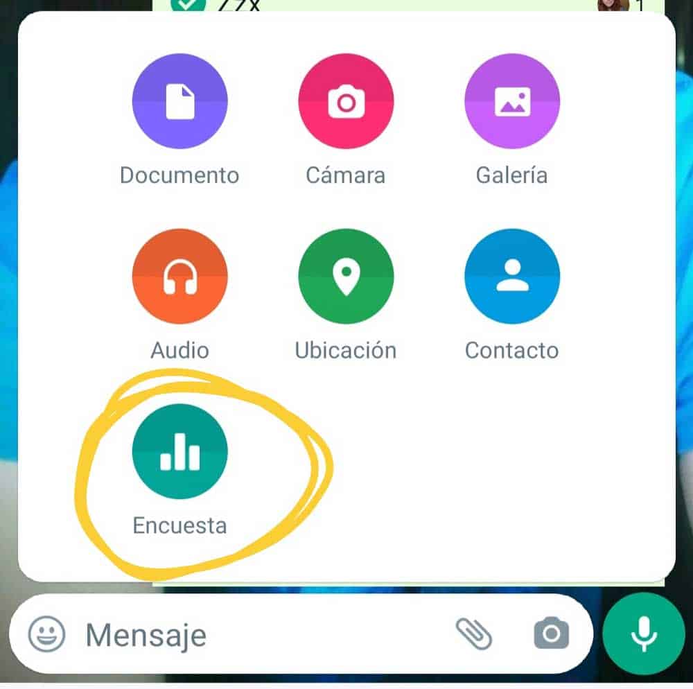 Whatsapp-encuestas-boton
