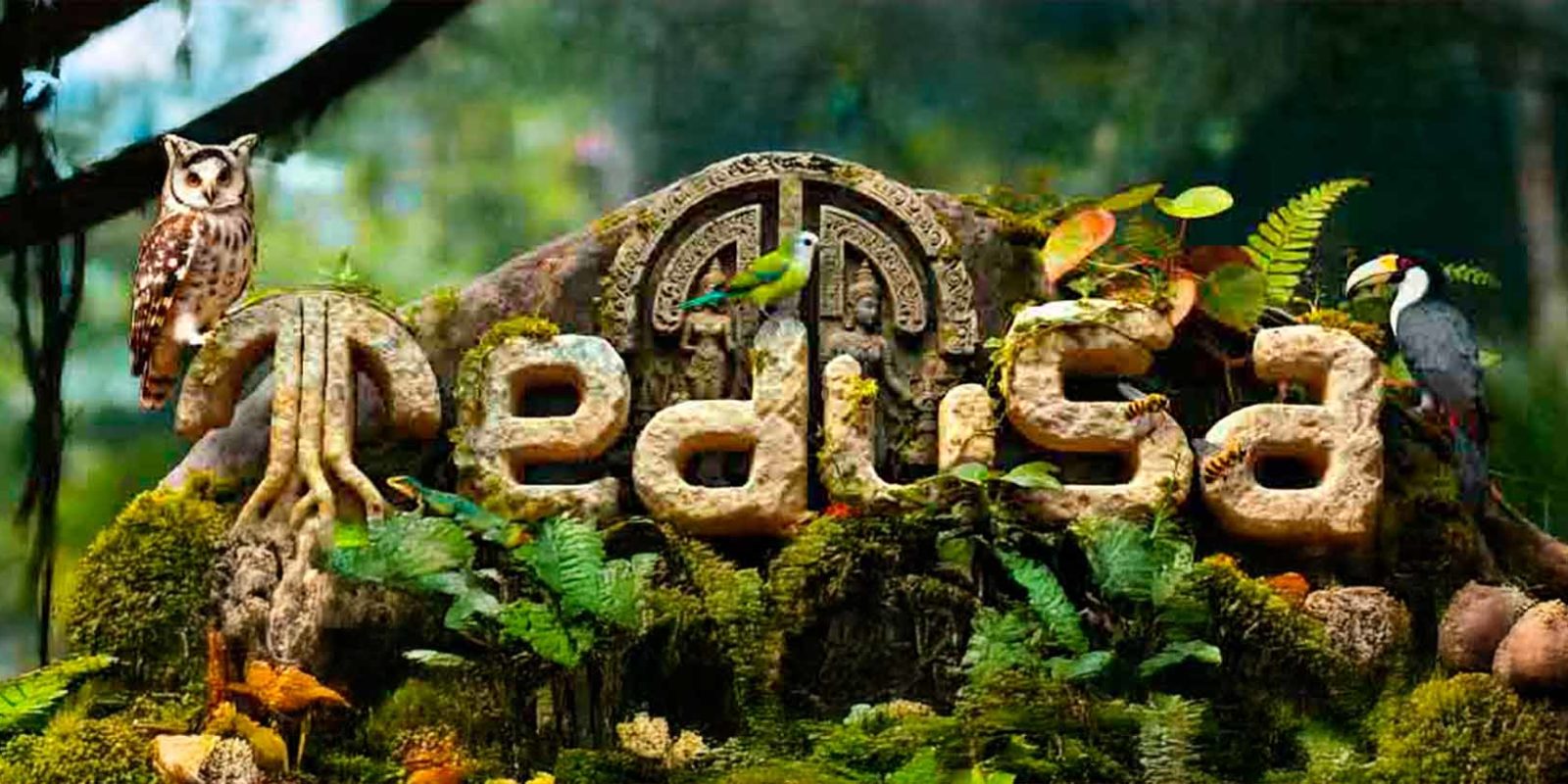 Medusa-Festival-2026