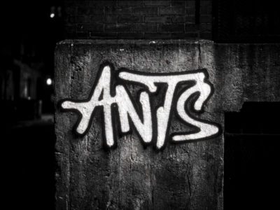 ANTS amplia su territorio en Ibiza con la unión de UNVRS