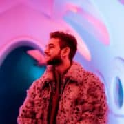 Zedd-montaña-rusa