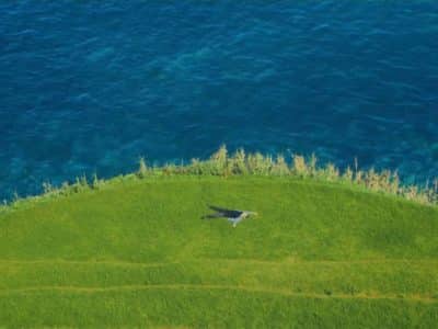 Catharina-Martin-Garrix